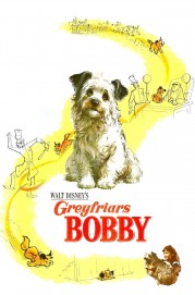 hd-Greyfriars Bobby: The True Story of a Dog