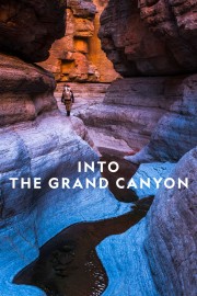hd-Into the Grand Canyon