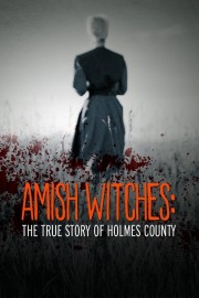 hd-Amish Witches: The True Story of Holmes County