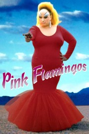 hd-Pink Flamingos