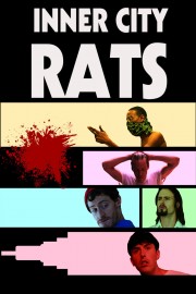 hd-Inner City Rats