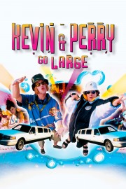 hd-Kevin & Perry Go Large