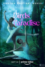 hd-Birds of Paradise
