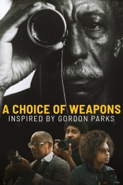 hd-A Choice of Weapons: Inspired by Gordon Parks