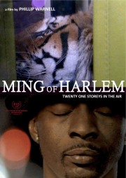 hd-Ming of Harlem: Twenty One Storeys in the Air