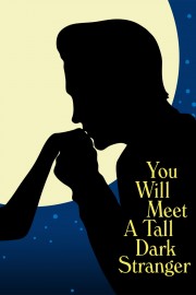 hd-You Will Meet a Tall Dark Stranger