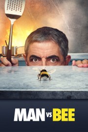 hd-Man Vs Bee