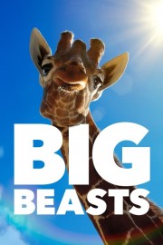 hd-Big Beasts
