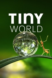 hd-Tiny World