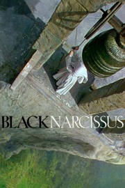 hd-Black Narcissus