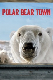 hd-Polar Bear Town