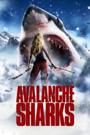 hd-Avalanche Sharks