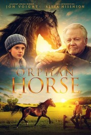 hd-Orphan Horse