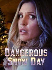 hd-Dangerous Snow Day