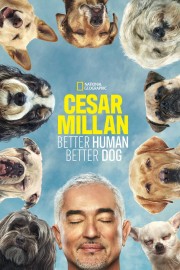 hd-Cesar Millan: Better Human, Better Dog
