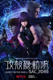 hd-Ghost in the Shell: SAC_2045