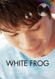 hd-White Frog