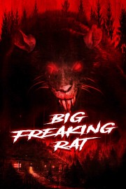 hd-Big Freaking Rat