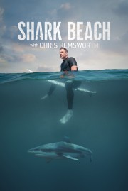 hd-Shark Beach with Chris Hemsworth