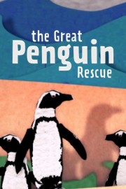 hd-The Great Penguin Rescue