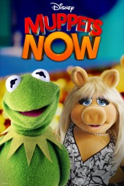 hd-Muppets Now