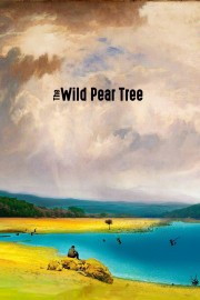 hd-The Wild Pear Tree
