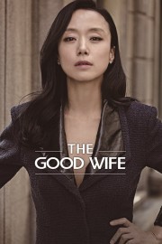 hd-The Good Wife