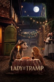hd-Lady and the Tramp
