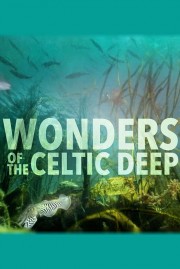 hd-Wonders of the Celtic Deep