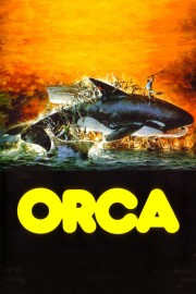 hd-Orca: The Killer Whale