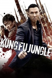 hd-Kung Fu Jungle