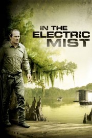 hd-In the Electric Mist