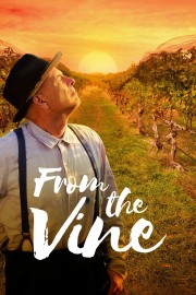 hd-From the Vine